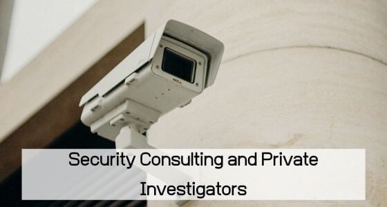 security-consulting