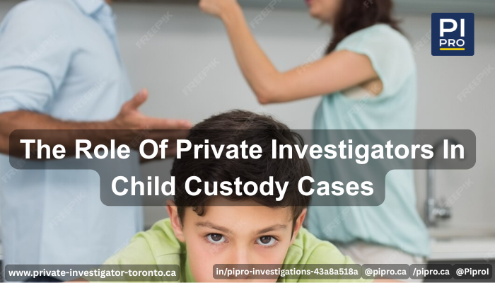 Private Investigators Child Custody
