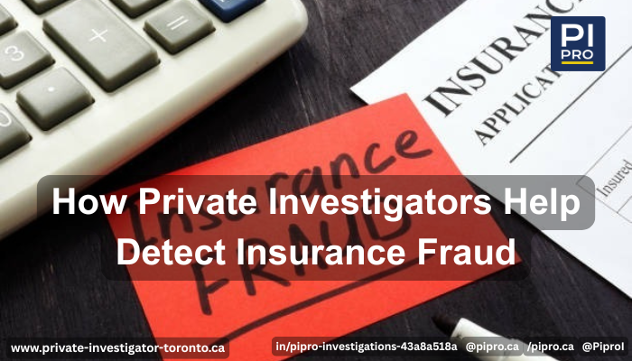 Insurance Fraud Detection