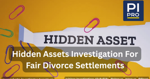 Hidden Assets Investigation