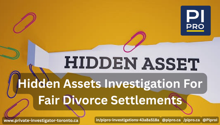 Hidden Assets Investigation