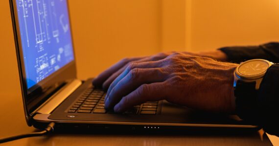 Online Fraud Risks