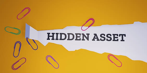 Hidden Assets Investigation